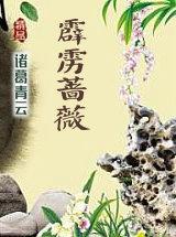 黑暗纪元各个人物结局